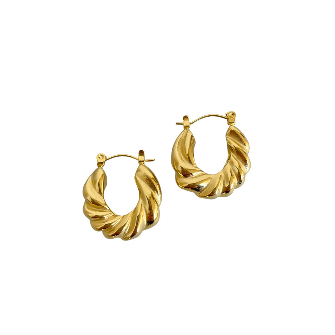 Hoops Alfonsina