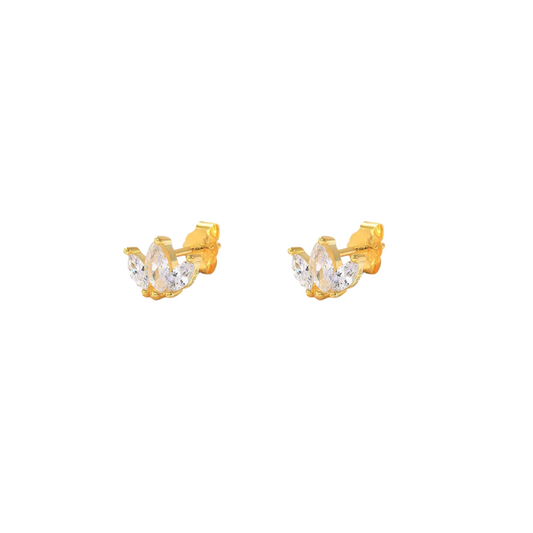 Aretes Hojitas s925