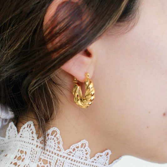 Hoops Alfonsina