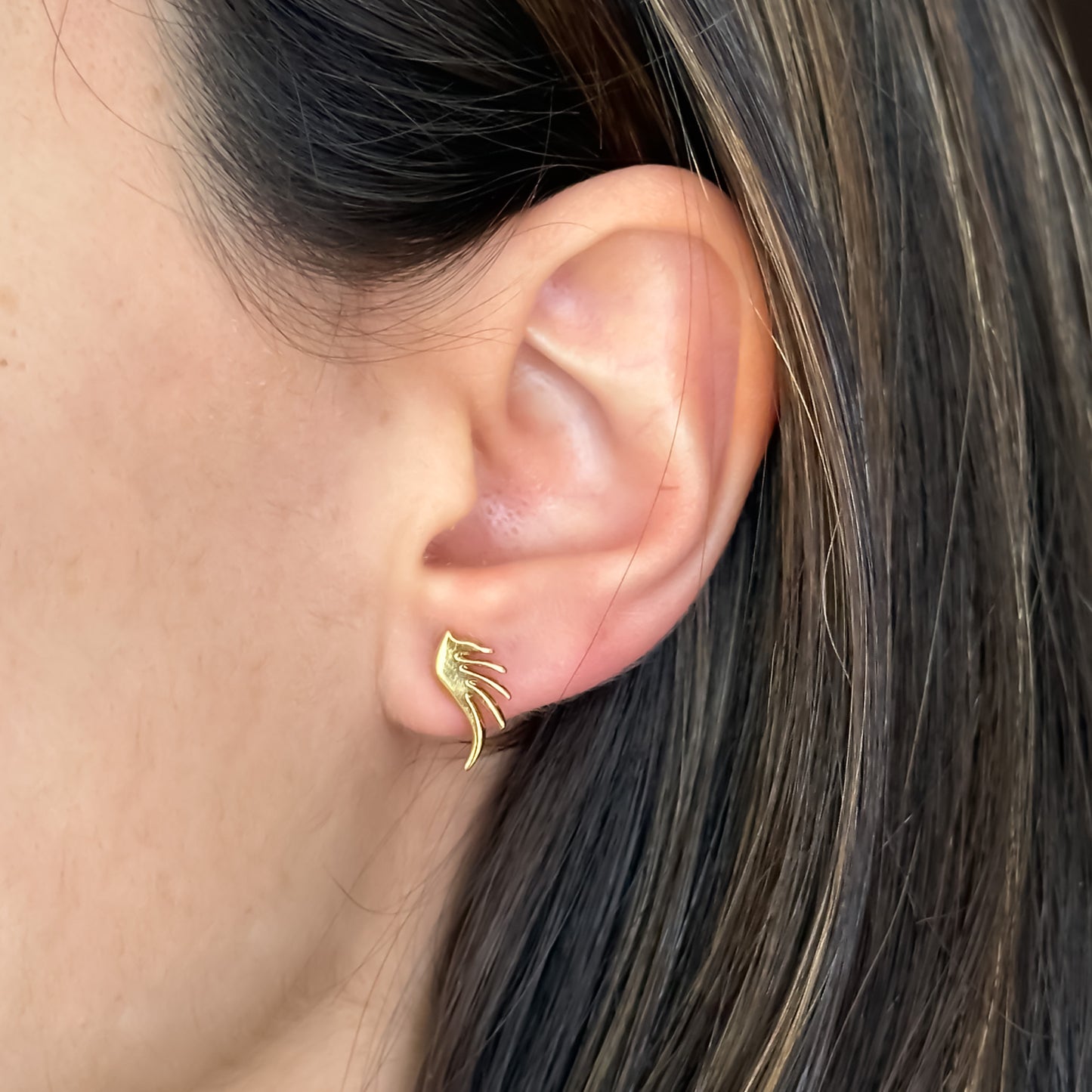 Aretes Alas